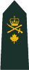 Brigadier-gnral